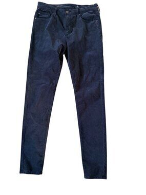 ADRIANO GOLDSCHMIED Farah Blue Velvet High Rise Skinny Pants Size 30
